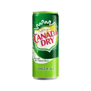 Canada Dry Ginger Ale 24 x 0,33L PL